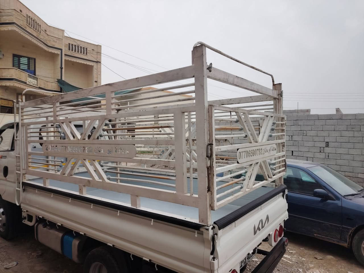 اسلام عليكم ورحمة الله وبركاته محجل للبيع فصال درجه اولى مال كية بعيرة سعر 450 رقم ***********
