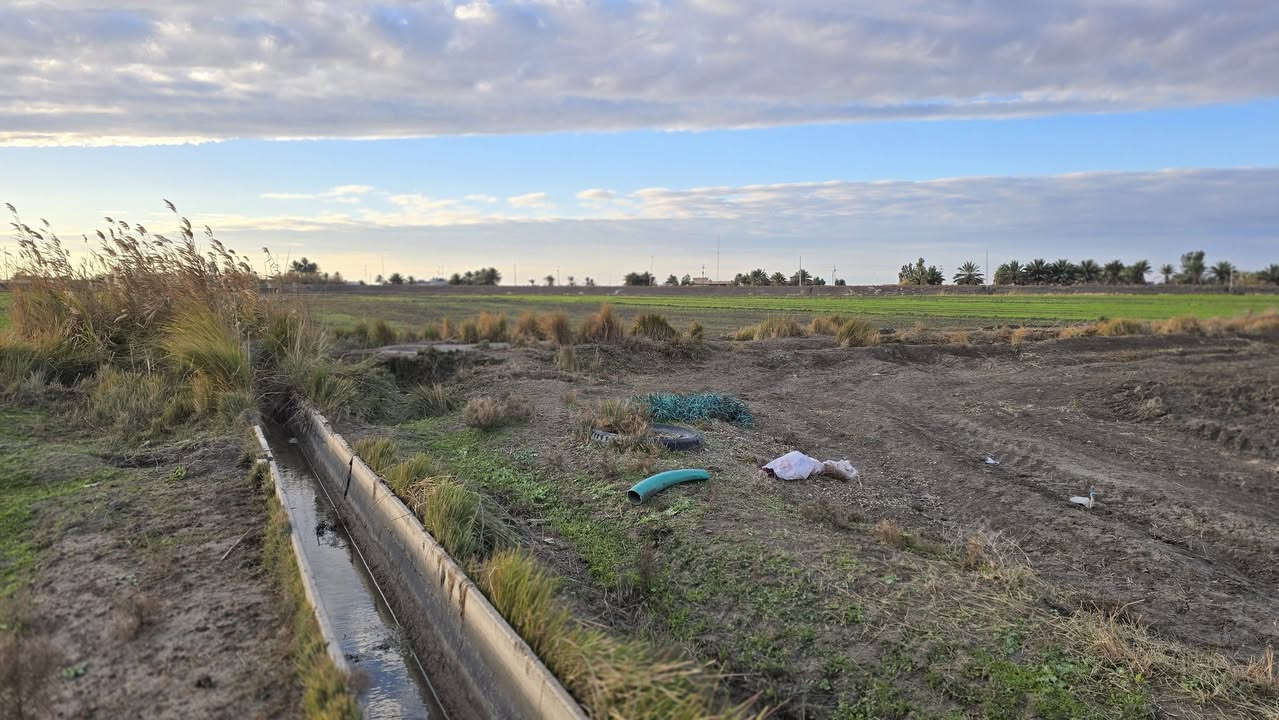 انته صحاب استثمار او تريد تترفه
وصلت عند الشخص الصح جايبلك 5 دوانم وتباع مفرد حسب الطلب موقعهه مرتب ومخدوم من كل النواحي ماء وكهرباء وصب اروائي ومزارع وخضار وسكن طابو سند 25 فتح بيان بأسم المشتري حق التصرف 
واجهية الدونم الواحد 40×60 مربع سعر الدونم الواحد 32 مليون وقابل للتفاوض 
العنوان بغداد التاجي ذراع دجله 
للأستفسار ***********
