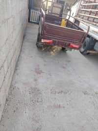 شباب هاي ستوته مديل 16 اني مكلف بنشر وهاذا رقم راعيهه بيهه محرك مال 20...
