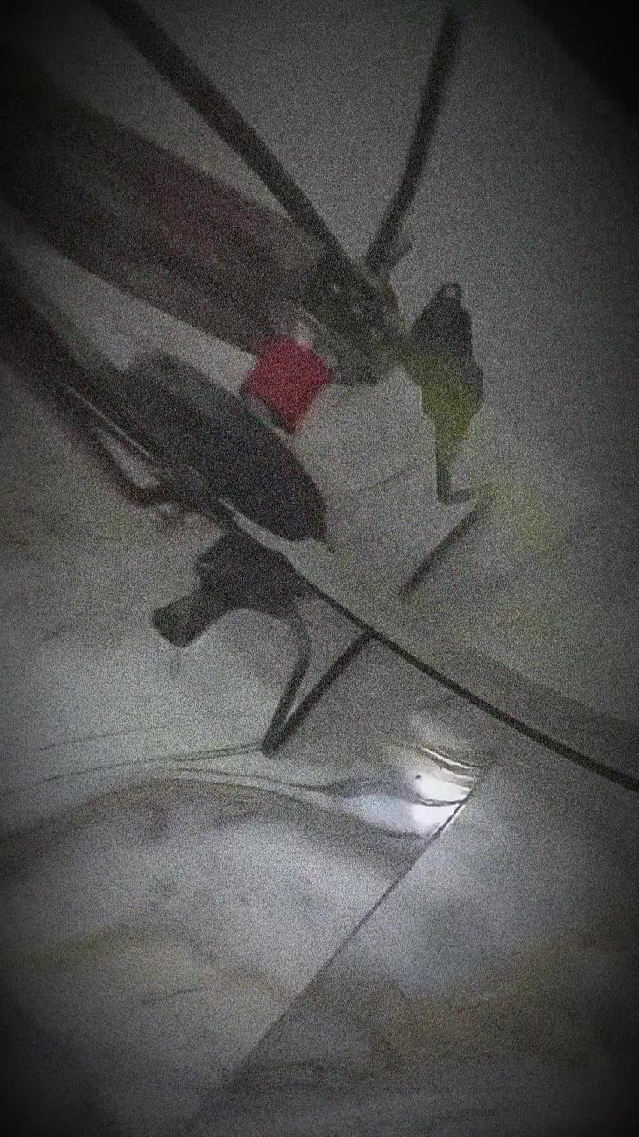 باسكل للبيع موديل ٢٠١٧ عراضه كامله السعر ٨٠ وبي مجال المكان ديوانيه حي الحضاره


**إذا كنت صاحب هذا الإعلان وتريد حذفه لأي سبب، رجاءا أرسل رسالة إلى الدعم الفني**