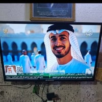 شاشه • شغاله • الحله الثوره