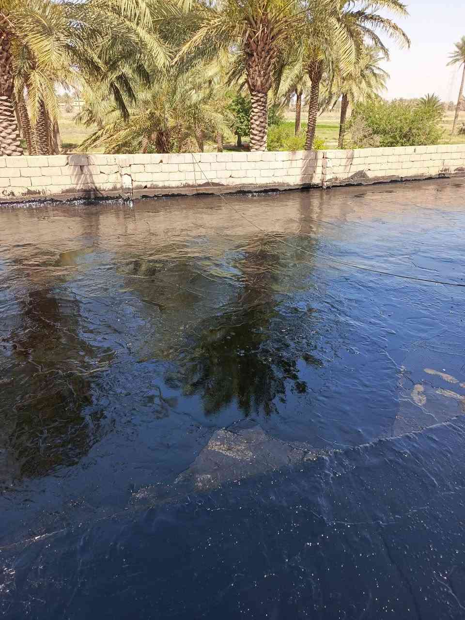 السلام عليكم جير لتجير الصطوح والاساسات وكافة المباني بسعار مناسبه اتصل على الرقم وبيك خير وتدلل ***********
