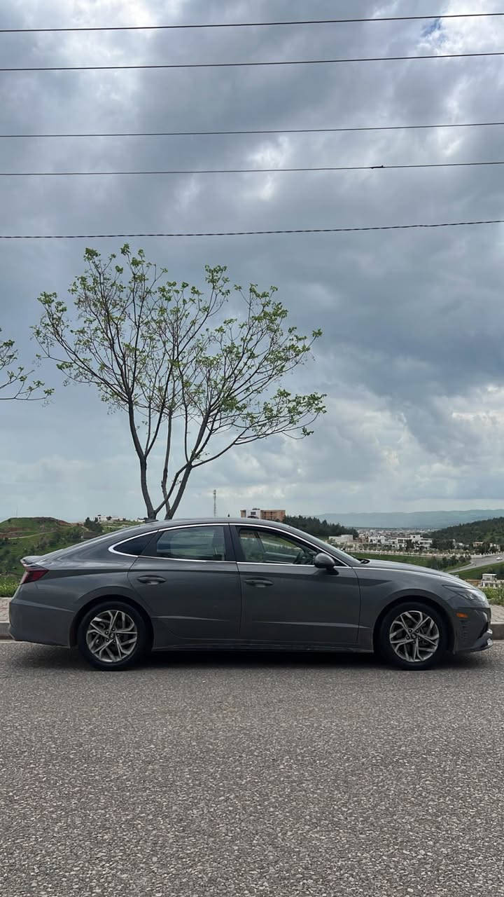 سلام عليكم 
سوناتا 2023 sonata
ماشي 66الف ميل
باب ورا السكن صبغ  بجم وخلف كبس بدون دواخل بدون ارباك شرط💣

سعر:162$مجال

مواصفات 
Sel plus 
 • المحرك: 2.5L تنفس طبيعي 
المواصفات  
 • تشغيل بصمة + تشغيل عن بعد
البوب بصمة
 • إشارات بالمرايا
 • رادار امامي + رادارات جانبية. خلفي
 • هاند بريك بصمة
كشن السايق كهربائي
كامرا خلفية دواره
اوتو هولد مع توقف ذاتي
انظمة قيادة 4 
شاشة تدعم ابل كار بلي
 • مقاعد مخمل مع تدفئة
صندوك ذكي / بصمة
لايت زينون عالي ناصي عدسة 
لد امامي نهاري
بك لايت لد
 رقم تلفون واتساب 📞
***********
*********** أربيل, العراق

