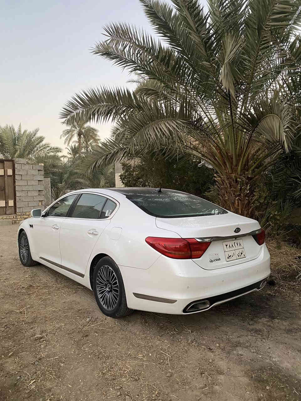 كيا كوريس 2015 وارد خليجي 
كفاله عامه مكينه V6/3800
تخم تاير جديد + باتري جديد 
ماشيه 159 
فول مواصفات للاخير 
بانوراما

حساسات خلفي امامي 
شاشه تحكم ماوس 
تحكم بالستيرن 
بدون جكات المرغوبه 
كامره خلفي 
مري ترحيب 
عتب ترحيب 
برده خلفيه +برد بالبيبان الخلفيات 
داخل جلد بيجي كهربائي 
سياره نضيفه بمعنى الكلمه وبعد بيهه هواي مواصفات كلش ما ذاكرهن  
رقم اربيل تريد وكاله تريد مداور باليعجبك 
مكاني نجف سعر $195. وبيهه مجال قليل للشراي
رقمي *********** اتصل وبخدمتك
