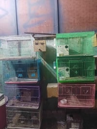 10 خانات ام الطير • حجم 60×40 • 2 خانات ستيل 50×35