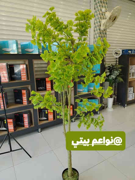 اشجار صطناعيه بموديلات مختلفه يعطي منظر جميل وراقي 
توت توت تعالي النواعم بيتي كلشي موجود😜🤪😋
🧿﷽ 🧿
#نواعم بيتي المواد المنزليه
بضاعة جديدة ومنوعة موديلات واشكال مختلفة راقية وأنيقة ومفيدة جدا تجدونها في نواعم بيتي  
العنوان / العزيزية شارع سيد عزي مجاور علي العتبي للذهب عمارة احمد صبر
يتوفر لدينا خدمة توصيل داخل العزيزية مجاناً 
توصيل لكافة محافظات العراق

👌للحجز ارسال صورة المنتج ورقم الهاتف 
الحجز مراسلة الصفحة أو الاتصال على الرقم ***********\*********** 
🏠الدوام من الساعة التاسعة صباحاً  لغاية الساعة التاسعة ليلآ
اسعارنا تنافسية ومخفظة جداً ....ويدللون 😁😃
نواعم بيتي #تسوق #ترند#تسوق
