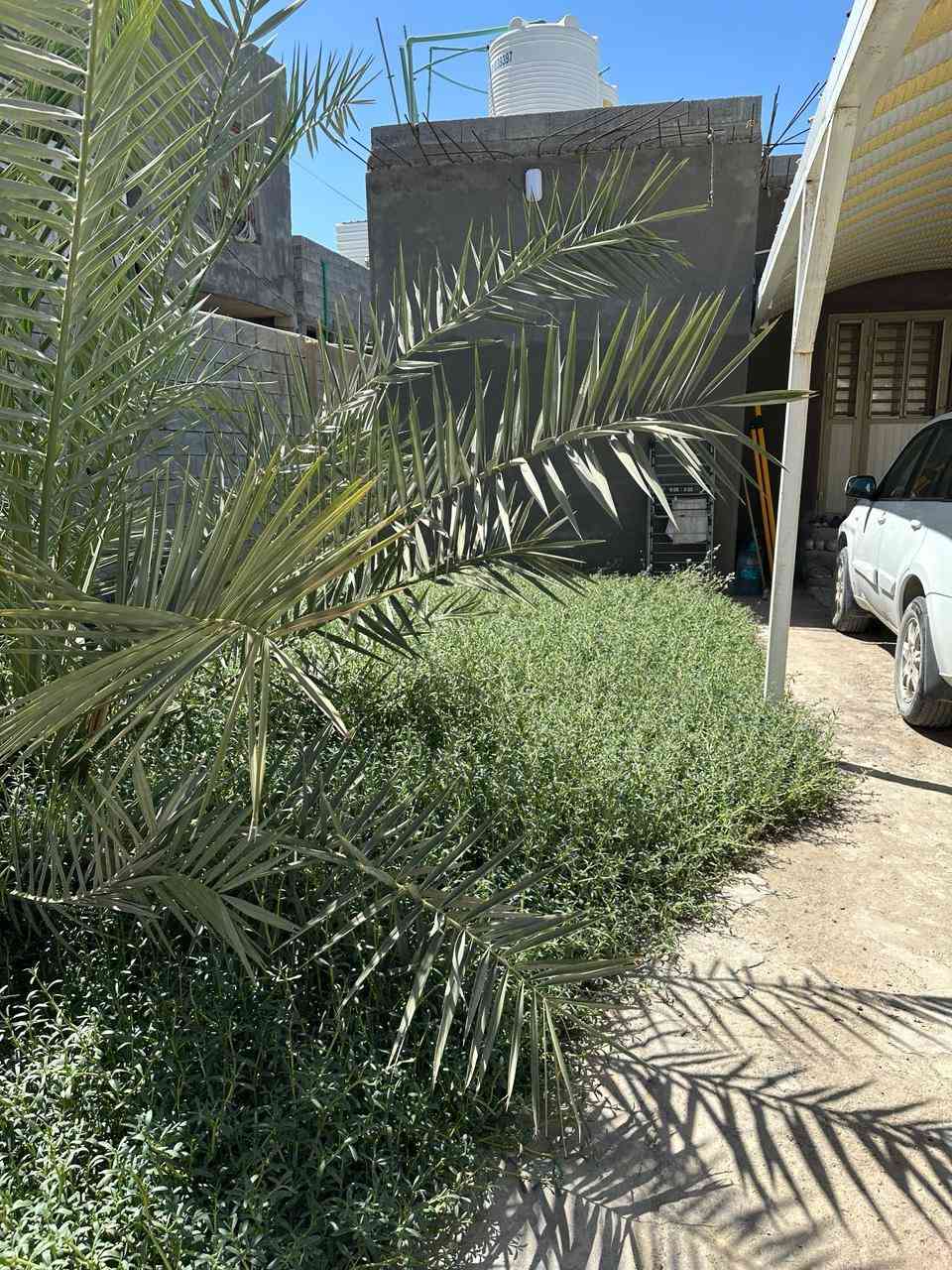 بيت للبيع مساحة القطعه 200 م

مساحة البناء 70 م
 الواجهه 12 والنزال 16.7
 مساحه الغرفه الأولى 6 * 4 مساحه الغرفه الثانيه 5.5 * 4

موزع 4.25 * 1.25
 تواليت 1.25 × 1.30
 حمام 0.90 * 1.40
 البناء طابوق حديث 2019
طابو زراعي 
المطيحة / شارع السدرة
قرب اسواق ابو حسنین
السعر 120 مليون
للاستفسار اتصل / واتساب
*********** البصرة, العراق
