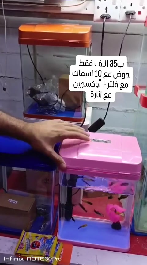حوض كامري صغير ب35 الف
الحوض مع ماطور اوكسجين + فلتر سقفي شلال لتصفيه ماء الحوض
واناره ملونه متعدده الألوان
مع 10 اسماك مولي 
او 10 اسماك تيترا
من اختياركم
 مع علبه طعام هديه🎁
بسعر 35 الف
للاستفسار عالخاص
او عالواتساب
☎️ *********** ☎️
العنوان : 
الابلة /شارع الوايلس
⛽خلف بانزين خانه شط الترك
 او خلف محطة بومبو⛽
تتوفر خدمه توصيل🚕🚕
