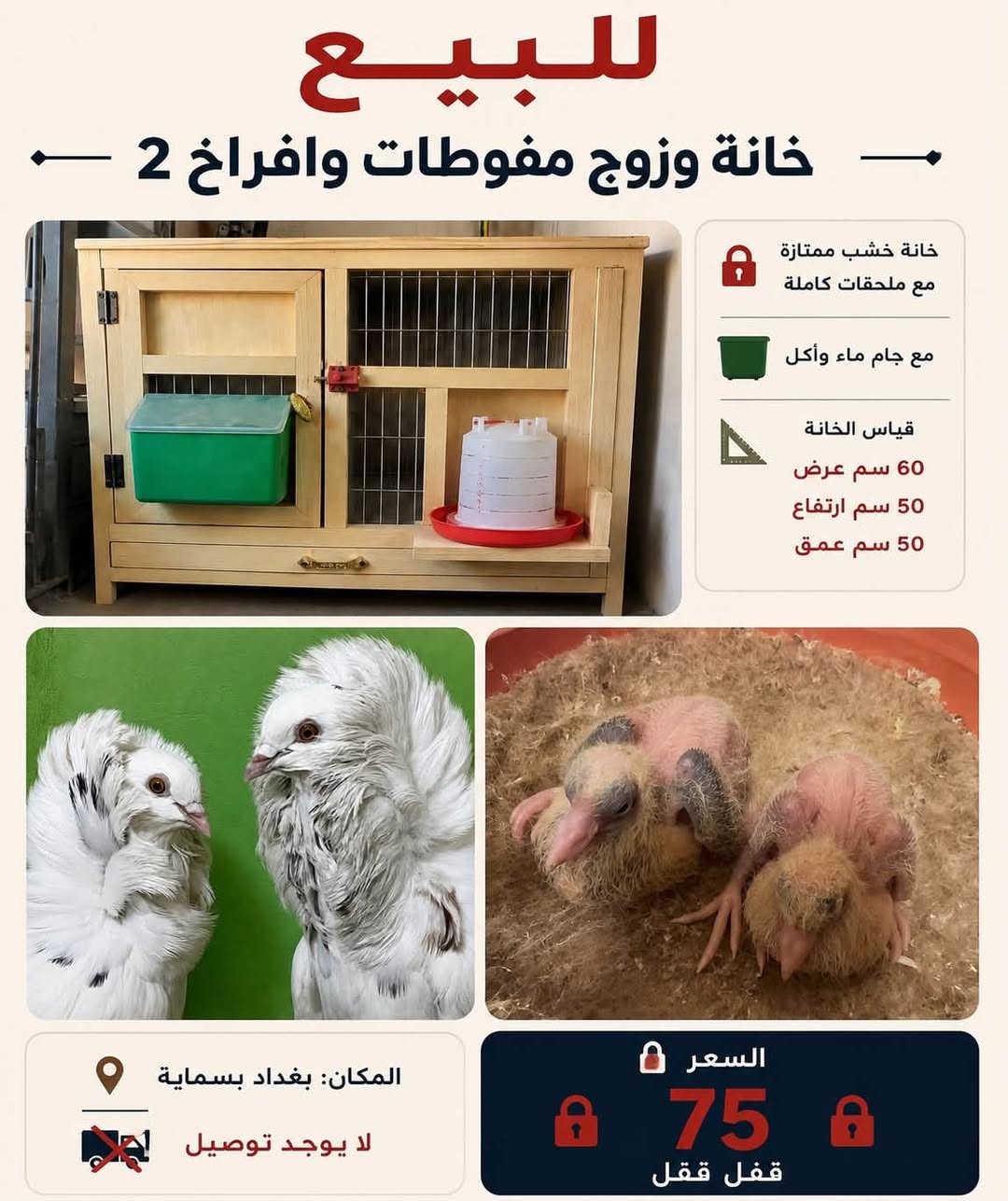 لبيع شلعة وحدة قفل 325 مكاني بغداد بسماية واذا مو مثل الصور تاخذهن بلاش غير متواجد عالفيس 
رابط الواتساب 

https://wa.link/uvcno5


**إذا كنت صاحب هذا الإعلان وتريد حذفه لأي سبب، رجاءا أرسل رسالة إلى الدعم الفني**