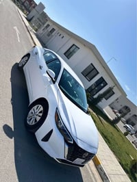 ابيض • ٢٠٢٤ • مرقم كاتي