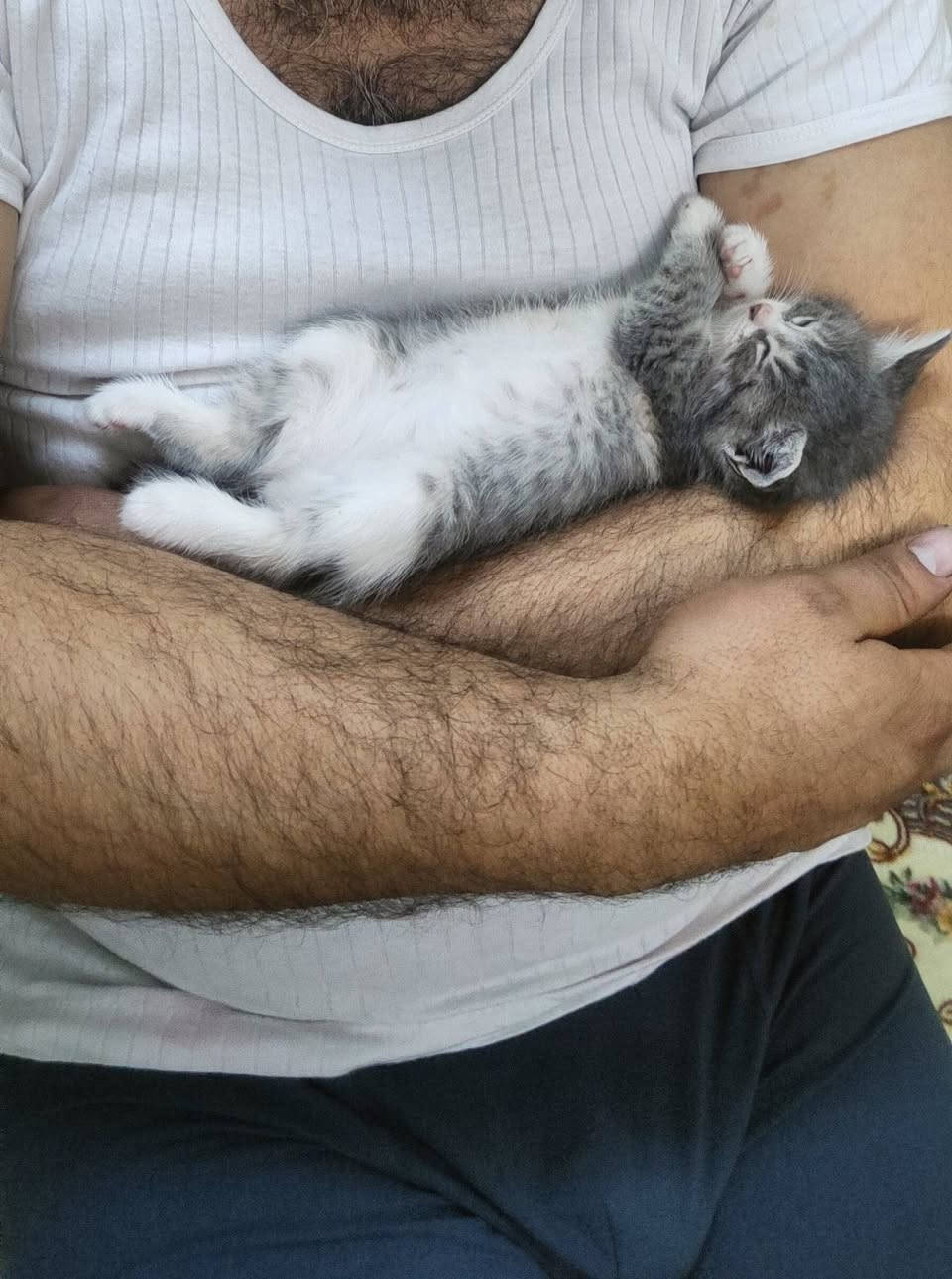 سلام عليكم منو يريد قط لتبني عدد ٢ موجود كركوك خابر وتدلل


**إذا كنت صاحب هذا الإعلان وتريد حذفه لأي سبب، رجاءا أرسل رسالة إلى الدعم الفني**