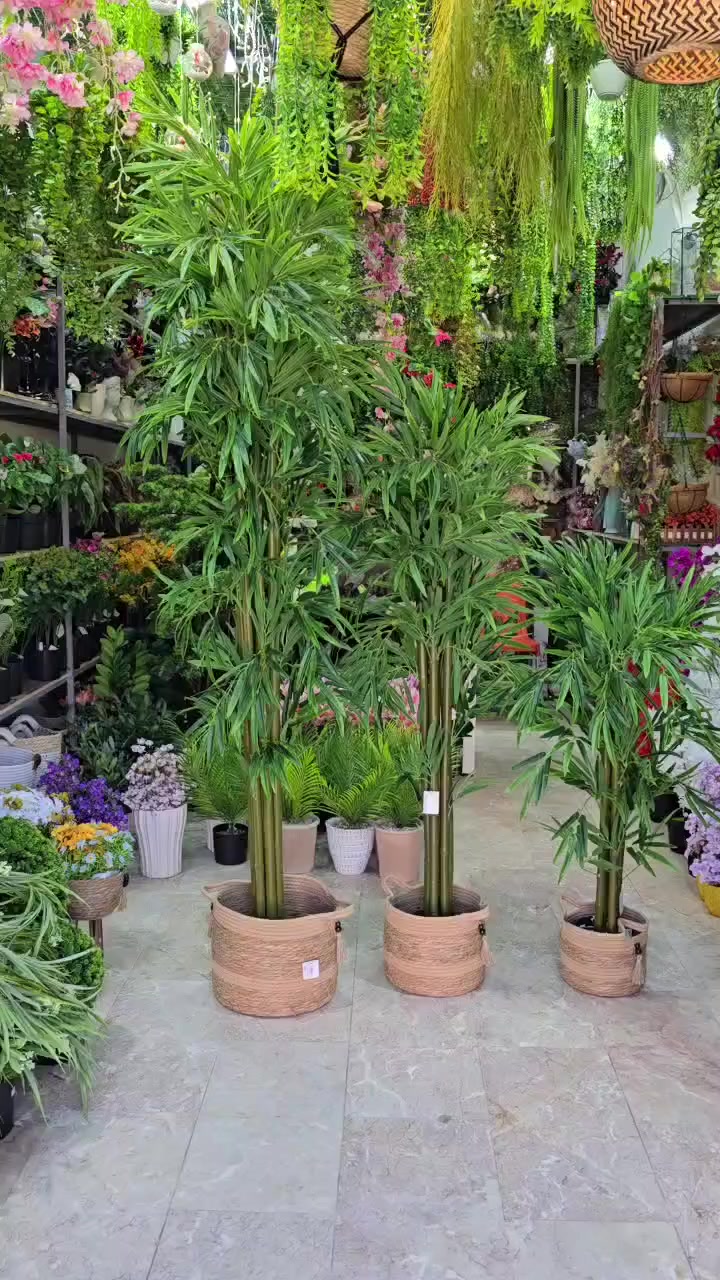 السلام عليكم محل لبيع الورد والاشجار الصناعيه مشابهه الطبيعي كوت الكفاءات شارع  رقم الهاتف ***********
