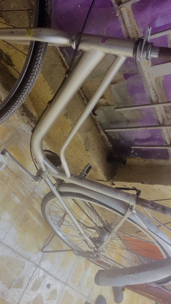 بايسكل حاويه للبيع حجم 27 نضافه فول مثل ماتشوفون الصينيه موجوده هيه والجاملغ توني شديت تايرين وجوبين جدد سعر 65 وبي مجال


**إذا كنت صاحب هذا الإعلان وتريد حذفه لأي سبب، رجاءا أرسل رسالة إلى الدعم الفني**