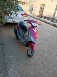 ماكس منغولي • مكفوله