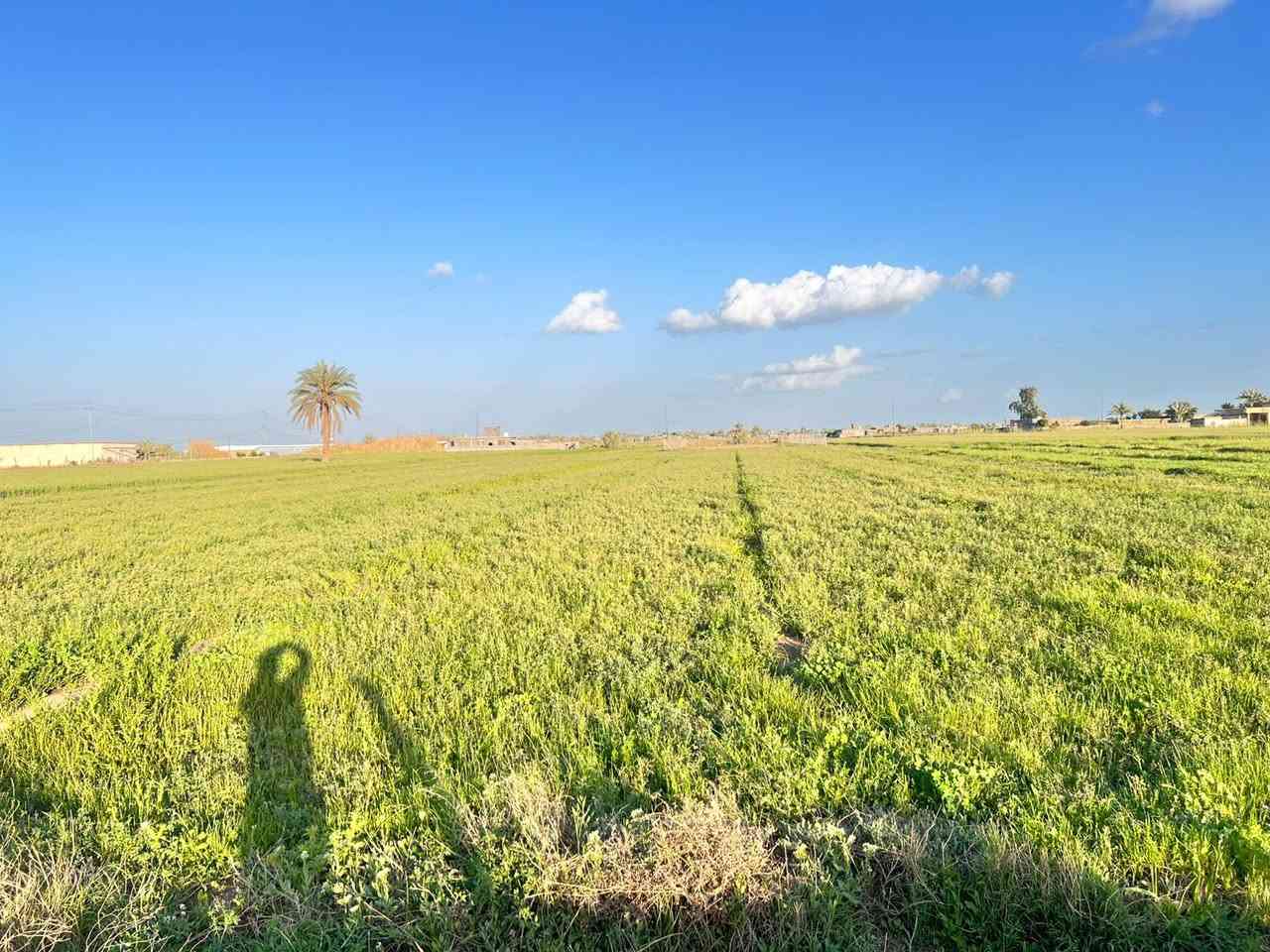 سلام عليكم كاع 3دونم للبيع خدمات كامله مي كهرباء تبليط الكع طابو زراعي تحويل ثاني يوم الامكان بغداد ابو غريب خان ضاري الزيدان للسفسار اكثر اتصل ***********
