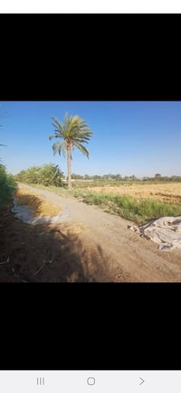 أرض زراعية • ٧ دونم • بيت قديم