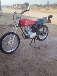 دراجة 2022 • أوراق أصلية • بدون راصطة