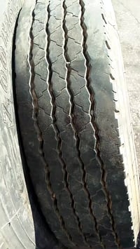 سايلون • مقاس ١٤ • الجويدة