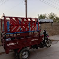 ستوته • صلاح الدين • ٢٠