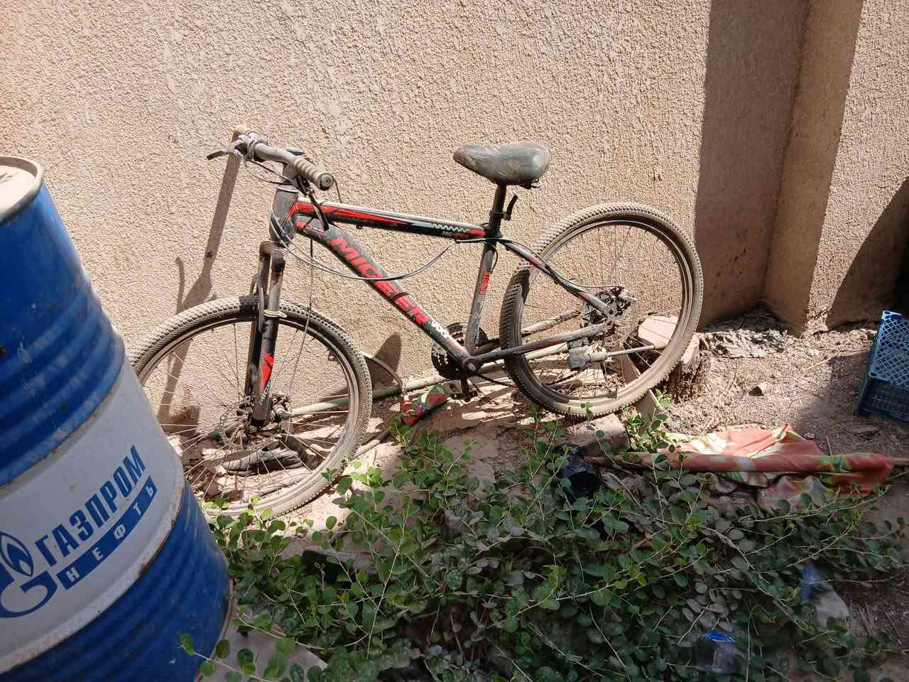 باسكل للبيع او مراوس بطه السعر 110 وبي مجال للشراي مكاني بابل للستفسار اكثر *********** طبعن مابي شي مودين 2022
