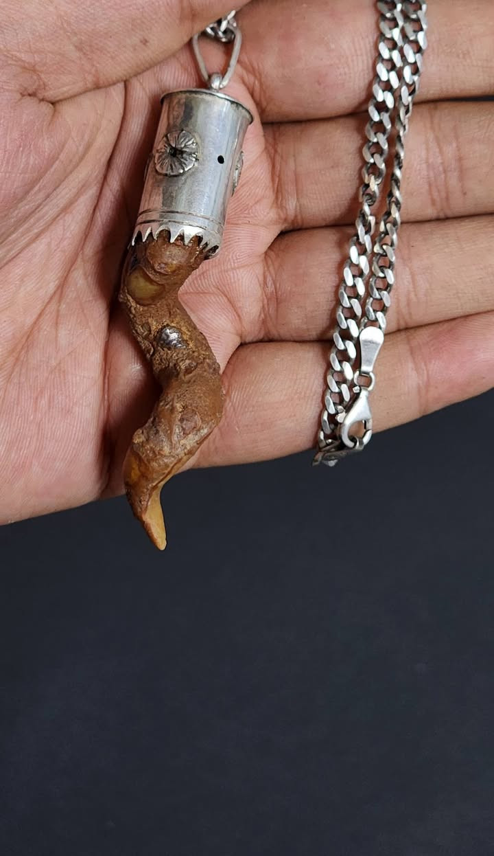 نوادر اللوي الطبيعي، مختوم ختم عام بجلد الغزال والختم داخل الفضة، صياغة يدوية ثقيلة بسلسة فضة ايطالية 
للبيع خاص او ***********
