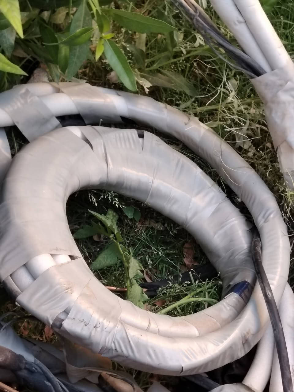 سبلت Tcl حجم طن ونص بلادي علا وضع شركة كامل مكمل تحكم بل امبير
العنوان بغداد الصليخ ال٦٠٠
***********
سعر ٤٧٥ الف...
