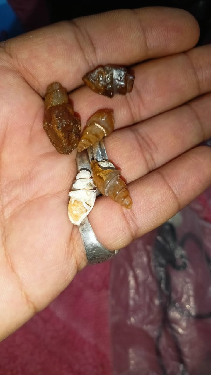 حجر ملوي شفاف جبلي عدد 5 ناعمات بيع بسعر 40 الف او  مراوس بخاتم فضه حسب رغبه توصيل كافه محافظات 6 الف


**إذا كنت صاحب هذا الإعلان وتريد حذفه لأي سبب، رجاءا أرسل رسالة إلى الدعم الفني**