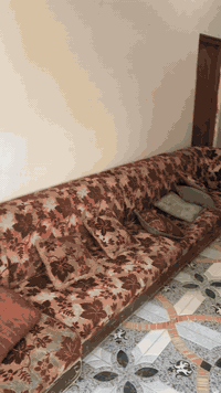 من رخصة الادمن مع التحية 
ومن رخصة جيرانه الافاضل 
السلام عليكم جميعا 
بيت سكن بيع  للحاجه ..
بيت طابقين 
 الطابق الأول 
2غرفة -مطبخ صالة-حمام -مرافق -كراج 
بناء بلوك سقف كونكريت  سنة 2019
مطبخ كامل مع اثاثة
 الطابق الثاني ؛
3غرف -حمام -مرافق 
بناء بلوك +ثرمستون  
سقف عكادة سنة 2020
مع سبّلت عدد 2فقط
المساحة 200م2
زراعي 
السعر (65 مليون)قابل للتفاوض 
تدفع مقدم (35 مليون دينار )
والباقي (30مليون دينار) الشهر 500الف 
بضمان ..
بيت كبير  واسع نظيف بس يحتاج شوي ترميمات 
ويرهم بيتين بدرج خارجي 
الماء والكهرباء مدفوعة 
مقطورات اثنين 2طن  
مع ماطور ماء درجة أولى 
العنوان 
البصرة  ..قضاء المدينة
(منطقة السودان )
شارع الامام الحسن المجتبى ع
الاتصال على الرقم 
***********
….
واتساب و اتصال 
وتدلل 
الرجاء..الرجاء بس الشراي صدك يتصل 
ويدلل .
واعتذر للاطاله وسلامتكم
