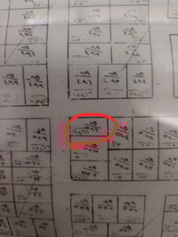 بابل حي الجزائر • ١٢٥م • طابو صرف