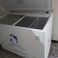 للبيع مبرده ومجمد بغداد الدوره المهديه شرط ع فحص ثنيهن رقم 07713097700