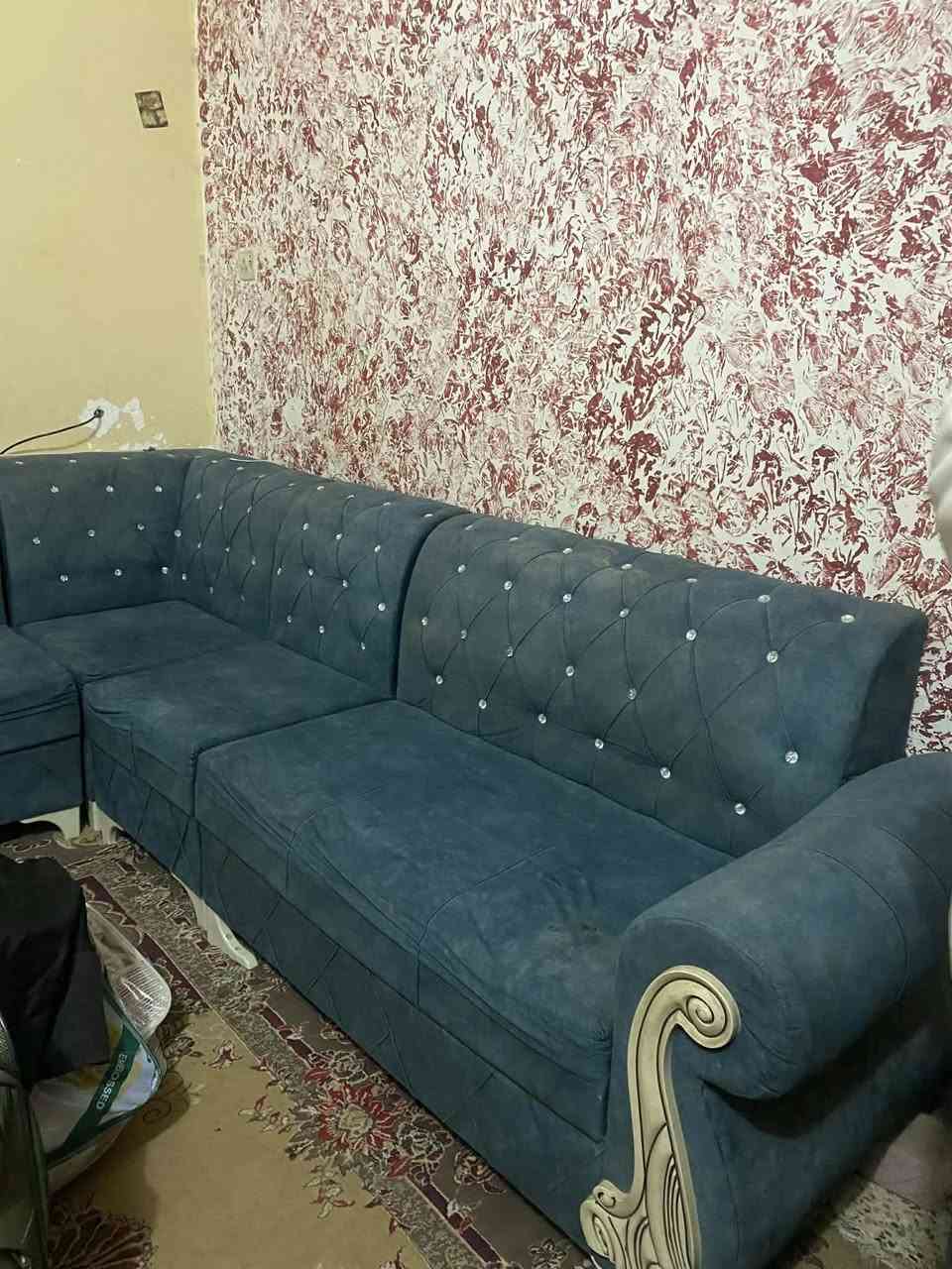 تخم نضيف للبيع سعره ٣٠٠ وبي مجال للشراي للاستفسار الاتصال على الرقم ***********
