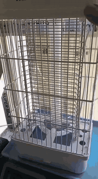 السلام عليكم عندي فرن للبيع مال زنود الست وكاهي جديد مستعمل شهر واحد ++مصيدة مال حشرات للبيع رقم *********** //***********
