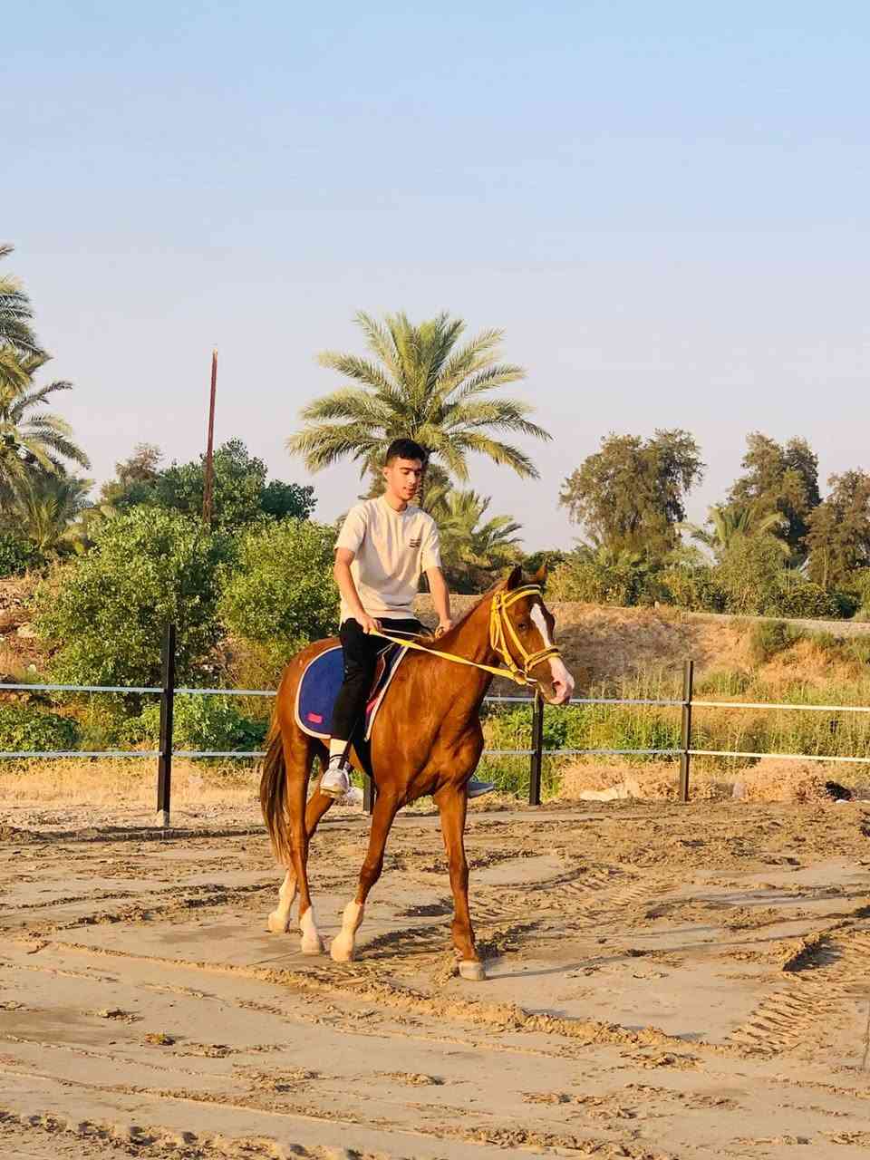 🐎🌟 ساحة جسر الجامعة لركوب الخيل ترحب بكم 🌟🐎
ندعو جميع محبي الفروسية وركوب الخيل لزيارتنا والاستمتاع بأجواء مميزة وتجربة لا تُنسى.

📍 العنوان: تحت جسر الجامعة – باتجاه بلاج العبارة.

🕓 أوقات التواجد: يوميًا من الساعة 4:00 عصرًا ولغاية 11:00 ليلًا.

📞 للاستفسار والحجز: 0777158891

🌿 نورتونا وتشرفونا بزيارتكم، وأهلًا وسهلًا بالجميع. بانتظاركم لقضاء أجمل الأوقات مع الخيل، ونسعد باستقبالكم دائمًا. 🐎🤍


**إذا كنت صاحب هذا الإعلان وتريد حذفه لأي سبب، رجاءا أرسل رسالة إلى الدعم الفني**