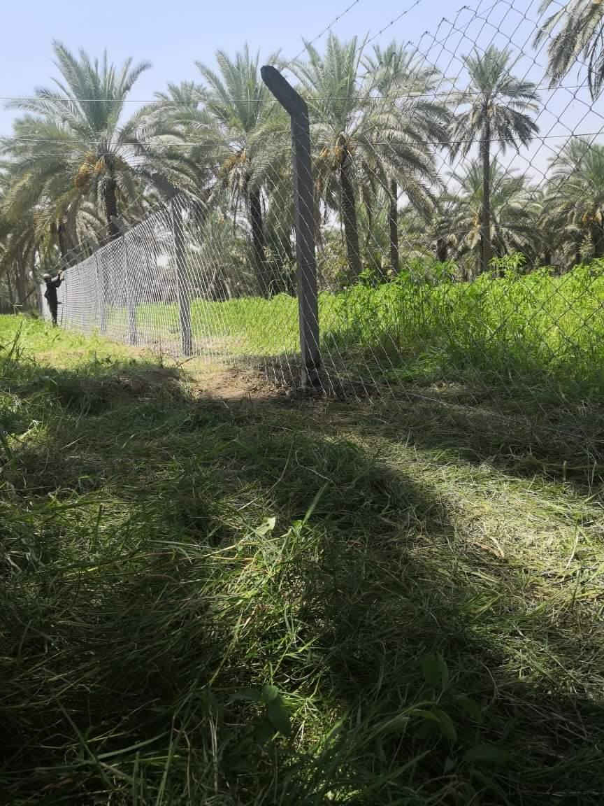 ✨🌟 إعلان متميز من شركة الفرات 🌟✨
🌆 نقدم لكم اسيجة بي ار سي BRC بكل أنواعها، تحت إشراف فريق هندسي متخصص وذو خبرة. 🔧
🌳 نتميز أيضًا في تسييج الحدائق، البساتين والأراضي الزراعية، لجعلها ملاذًا خضراء يشعّ بها الجمال. 🍃
🍀 هل ترغبون في الأسوار العشبية؟ نحن هنا لتقديم الأفضل! 🌱
🎉 بأسعار تنافسية ومغرية، نسعى دومًا لتقديم الأفضل. 💰
🚚 خدمتنا تغطي جميع محافظات العراق، فلا تترددوا في الاعتماد علينا. 
📞 للحجز أو الاستعلام، يمكنكم التواصل معنا عبر الأرقام التالية أو مراسلة الصفحة:
*********** (واتساب)
*********** (واتساب)
نتشرف بخدمتكم دومًا! 🌠
