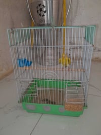 طير حب • قفص