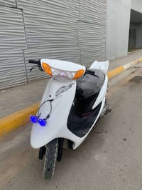 عصفورية • ٦٠سي سي • صوت ٢٥٠