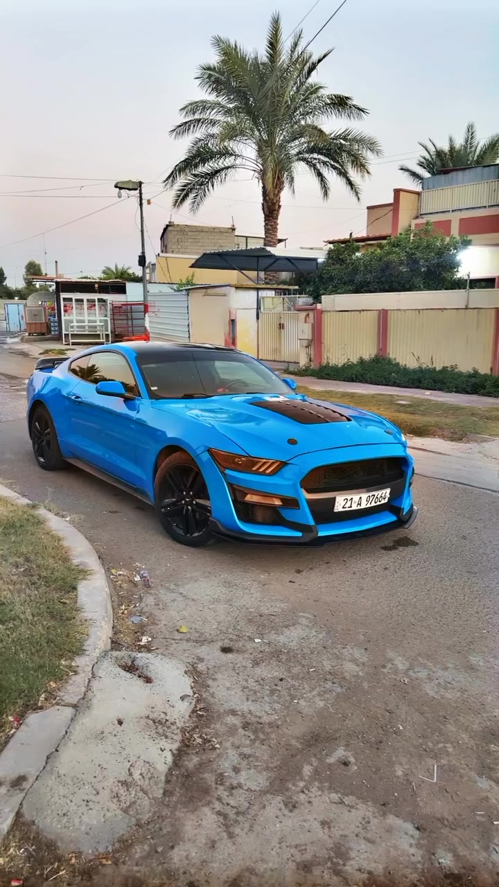 سلام عليكم شعندك مراوس اربع ابواب
موستنك 2017 سلندر6 كلشي بيهه بلادي سوناره موجود وحادثة خفيف كلش محدثة كت شيلبي ماشية 95 ميل 
كير مكينه بشرط سنوية لل 2029 باسمي تحويل ثاني يوم عليه دبات power
ريمونت تحكم لون مميز 
اريد مراوس مابيه ابيع وارجع ادور 
كلش حلوة وناعمة بالعافية ع الياخذهه 
الخاص مفتوح اليحب


**إذا كنت صاحب هذا الإعلان وتريد حذفه لأي سبب، رجاءا أرسل رسالة إلى الدعم الفني**