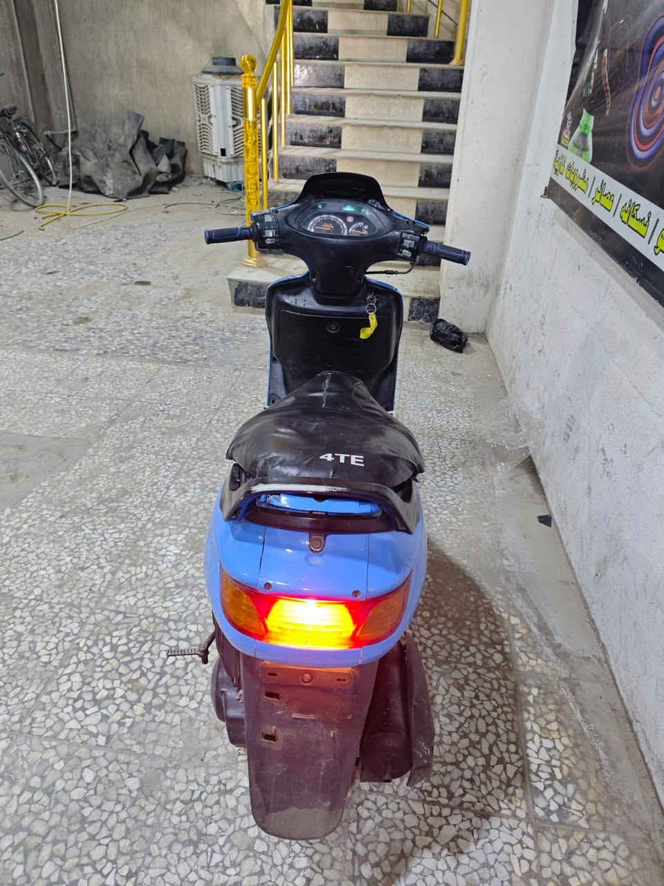 فحل للبيع 350 وبيها مجال مكاني بابل ‏‪***********‬‏
