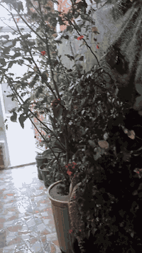 حي السلام • دار طابو • ١٢٥م