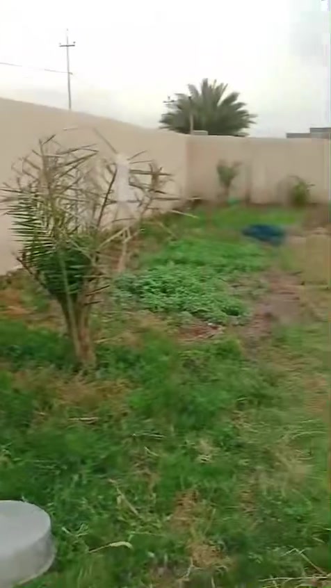بيت لبيع في منطقه اليوسفيه مساحه 880 خدمات ماي رساله شارع تبليط مدرسه مستوصف يبعد عنه 700 متر استفسار على هذا الرقم***********
