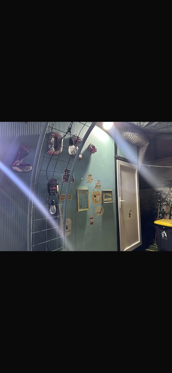 كرفان للبيع 3x4 نظيف جداً العنوان (بغداد / البنوك ) تريد تاخذ كـ مشروع جاهز ومكمل وياه سنك وفاترينا وميز  تريد كرفان للاستنفسار الاتصال على ***********
