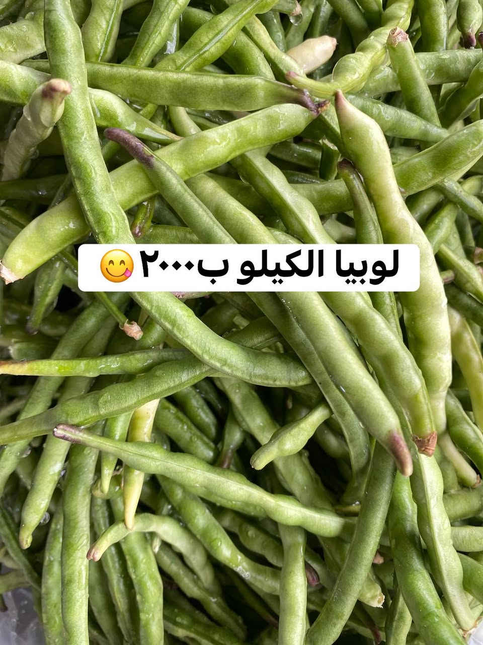 عرض خاص لمده يوم واحد فقط باجر بليل ينتهي العرض 
باميا ولايه الكيلو ب٤٠٠٠ كميه قليله 
*********** واتساب توصيل متوفر من ال١٠ صباحا الى ال١ليلا
