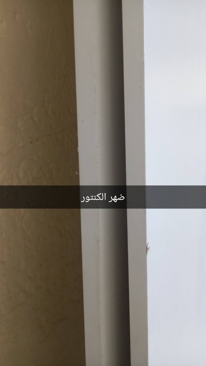 كنتور إيطالي للبيع  ثقيل جدا الطول ثلاث٣ أمتار أبواب سلايت جرارات هايدروليك
السعر 175 المكان المشراق
***********
