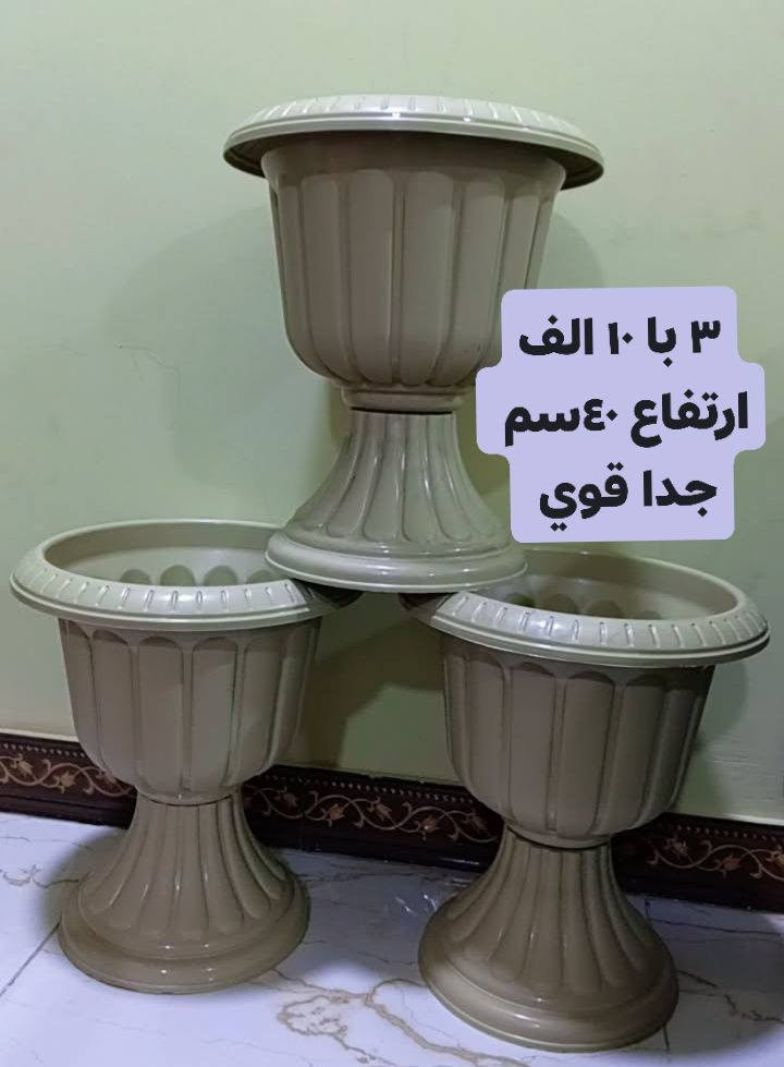 يتوفر سنادين درجة اولى نوعيه ممتازه 🪴 
يتوفر لدينا جميع اكسسوارات نباتات 🕊️🐼🦊 توصيل كل محافظات العراق 🚕 
الزرع لعرض فقط 🪴 
يتوفر جمله ومفرد 🦊🐼 
سارع لحجز كميه محدوده 🎊 
حجز على خاص ☎️
☎️***********📞
