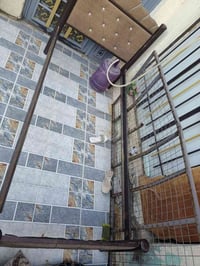 جرابي • تحتاج تصليح • العزه الجديده