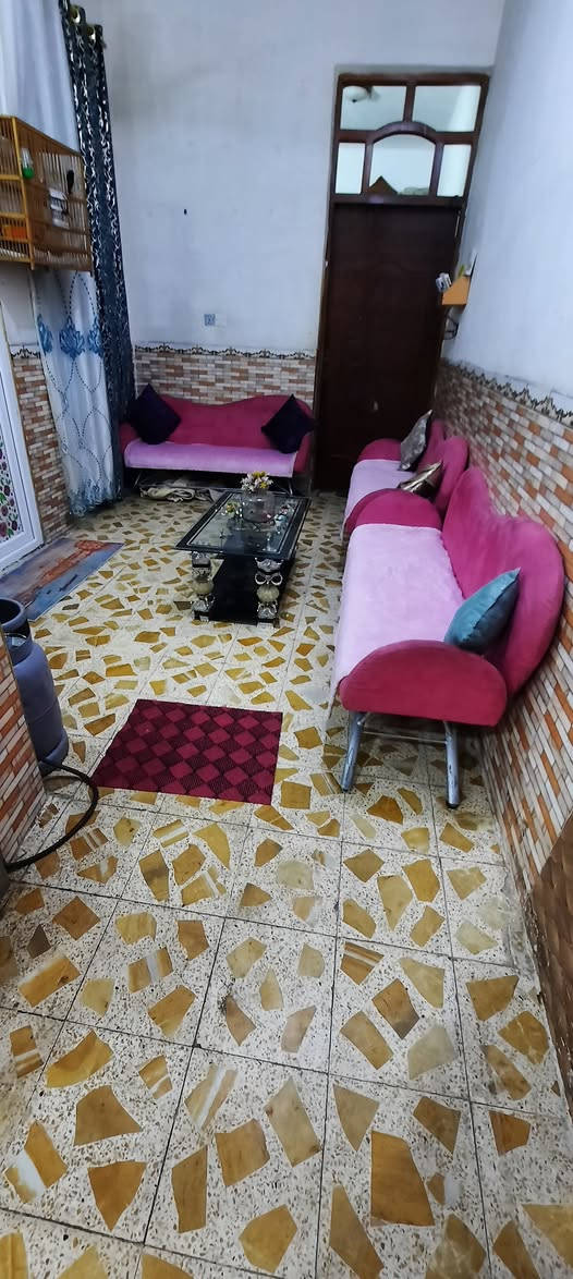 البيع تخم اصلي أوربي عنوان ميسان عماره اتصل واتساب موجود بالخدمة 《***********》 شراي يتصل عمارة, ميسان
