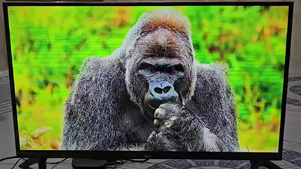 بلي 3 سلم اوروبي للبيع
⚫️الجهاز نظافته 95% مفتوح على كد التنظيف مع جوستيك واحد 
⚫️هارد 320 كيكا محور نظام مكاتب بي حوالي 19 لعبة و تكدر تحمل العاب و انت بالبيت و شغال اونلاين 
⚫️يجي وياه 3 اقراص اصلية 
السعر 150 الف
.
.
.
اكس بوكس ون فات للبيع
🟢الجهاز نظافته 90% مفتوح على كد التنظيف مع جوستيك واحد مع بطارية جوستيك اصلية 
🟢هارد 500 كيكا داخلي+ هارد خارجي 1000كيكا بي 49 لعبة منوعات 
🟢 يجي وياه جهاز كينكت للالعاب التفاعلية مع الجسم 
السعر 200 الف
.
.
.
شاشة 32 بوصة للبيع 
⚫️ الشاشة نوع Led شركة QLG
⚫️حجم 32 بوصة بدون نت 
⚫️الوضوح فول اج دي FHD 1080
السعر 125 الف
.
 .
.


**إذا كنت صاحب هذا الإعلان وتريد حذفه لأي سبب، رجاءا أرسل رسالة إلى الدعم الفني**