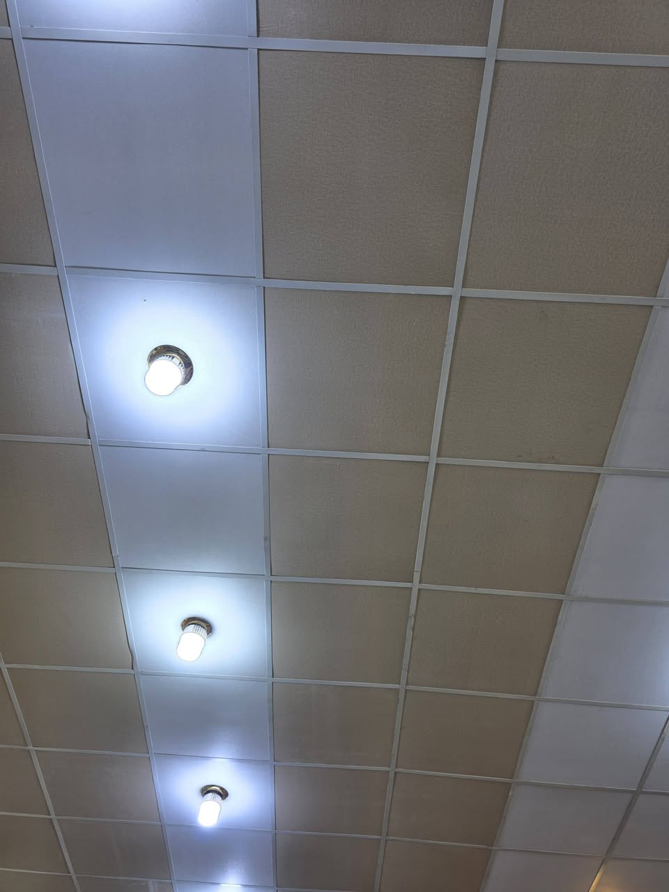 سقف ثانوي بورك مو بلاستك كامل مع الحديد مستخدم نضيف جداً صارلة فترهةقليلة من مشدود
العدد 200 متر
السعر قيم واخذ 
البصرة الهوير ***********
