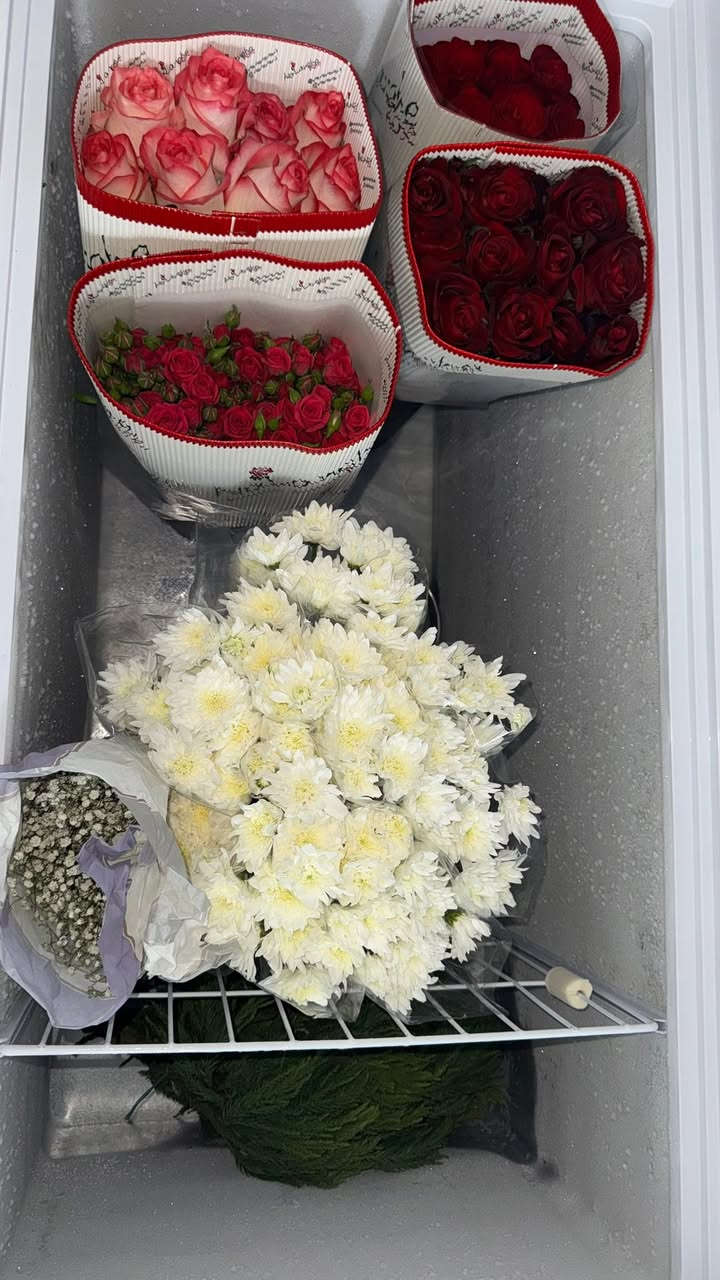 توفرت وجبة ورد طبيعي داخل محل الورد في سوق ابو عظام ويوجد توصيل لكل مناطق التاجي وبغداد والمحافظات🩷إنستغرام( m9_ub) 
واتساب ‭***********‬
عنوان المحل سوق ابو عظام مجاور ملعب علي مهاوي 
محل كمر روز للورد والهدايا
اوقات العمل من 3 عصرًا لغاية 11 مساءاً
