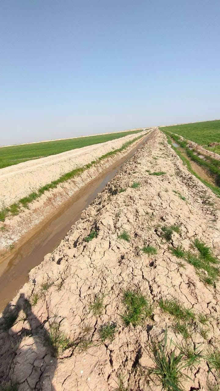 ارض زراعي للبيع
ارض زراعية للبيع سند 35  مساحة ،40 دونم خصبة جدا تقع على نهر المالح مباشرة  كما موضع في الفديو و الصور ولها بزل خاص بها على طول الارض معدله ليزر و الكاع خير من الله عنوان الارض جبلة قرية الصمود و تبعد عن مركز جبله نصف ساعه  سعر الدونم

 مليونين و نصف للتفاصيل الاتصال على  سبب البيع عدم التفرغ 
***********

